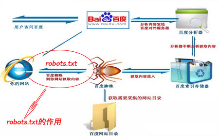 网站结构优化好友